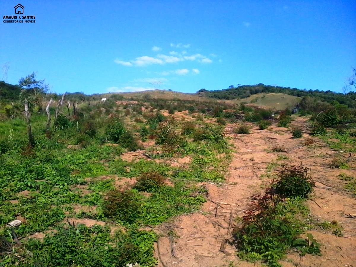 Sítio em , São Roque - Foto 7